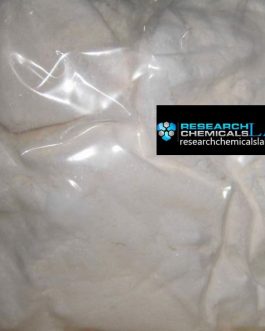 Buy MiPT Powder online